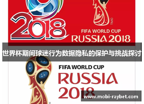 世界杯期间球迷行为数据隐私的保护与挑战探讨