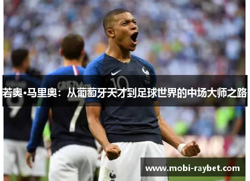 若奥·马里奥：从葡萄牙天才到足球世界的中场大师之路