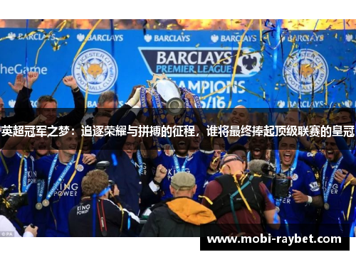 英超冠军之梦：追逐荣耀与拼搏的征程，谁将最终捧起顶级联赛的皇冠