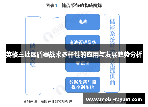 英格兰社区盾赛战术多样性的应用与发展趋势分析