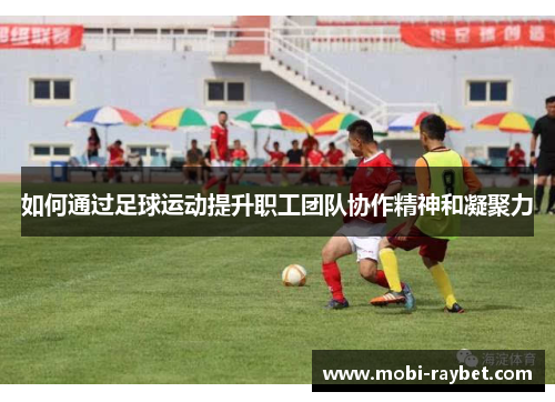 如何通过足球运动提升职工团队协作精神和凝聚力