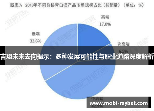 吉翔未来去向揭示：多种发展可能性与职业道路深度解析