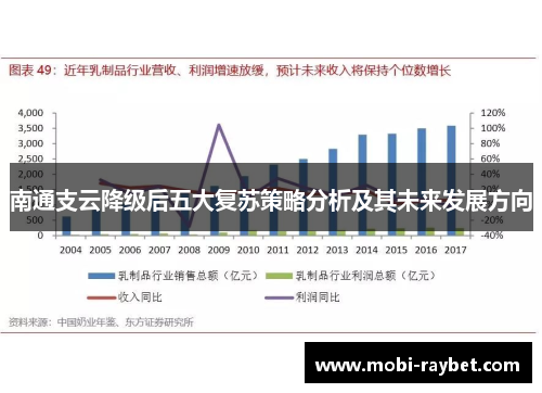 南通支云降级后五大复苏策略分析及其未来发展方向