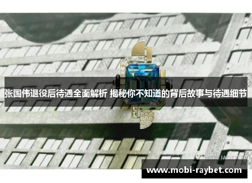 张国伟退役后待遇全面解析 揭秘你不知道的背后故事与待遇细节
