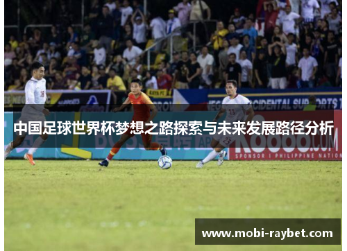 中国足球世界杯梦想之路探索与未来发展路径分析